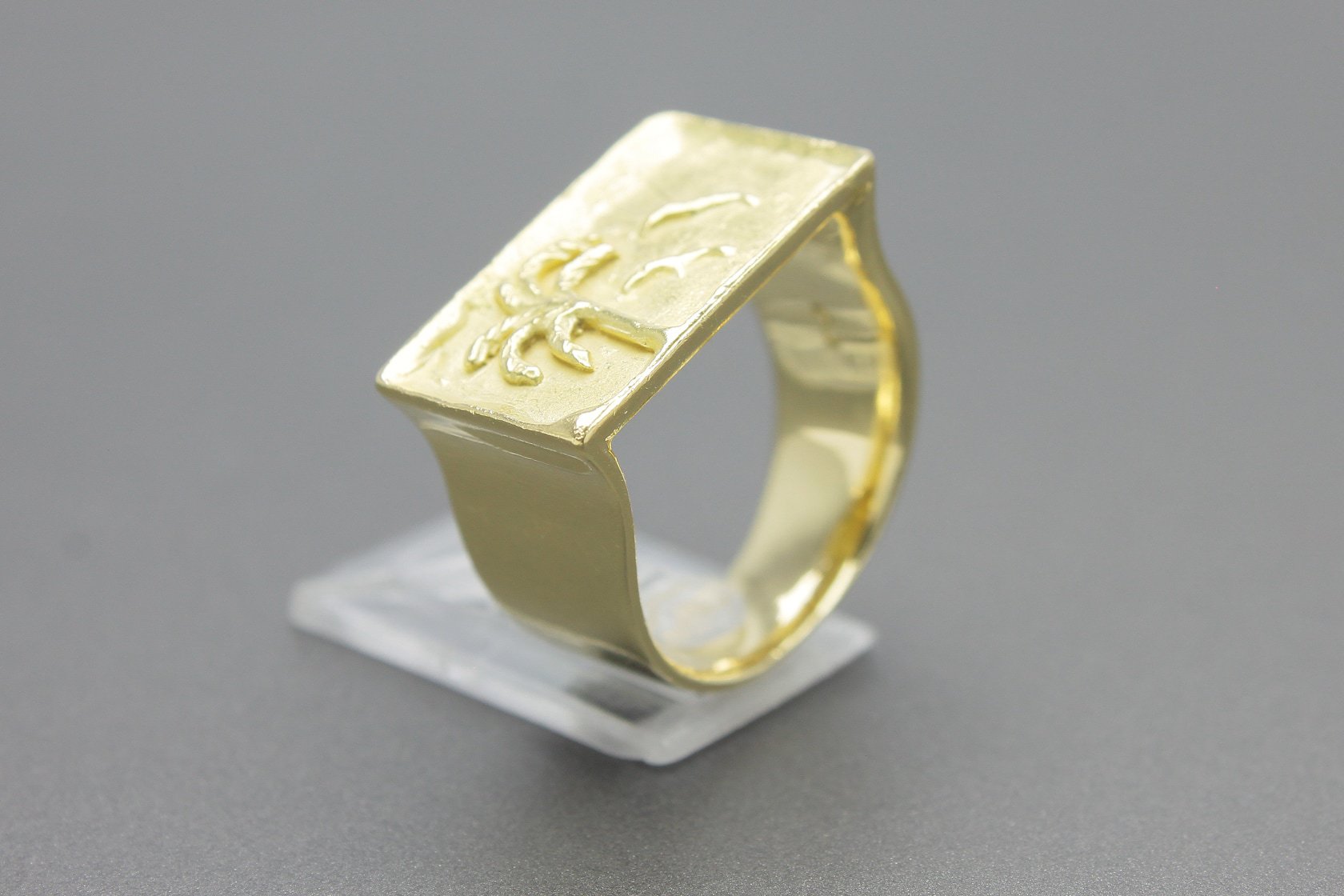 Anel em Ouro Amarelo 18k